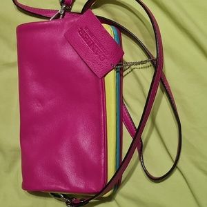 Danier Leather Crossbody